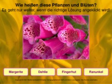 Blumen-erkennen-3.pdf